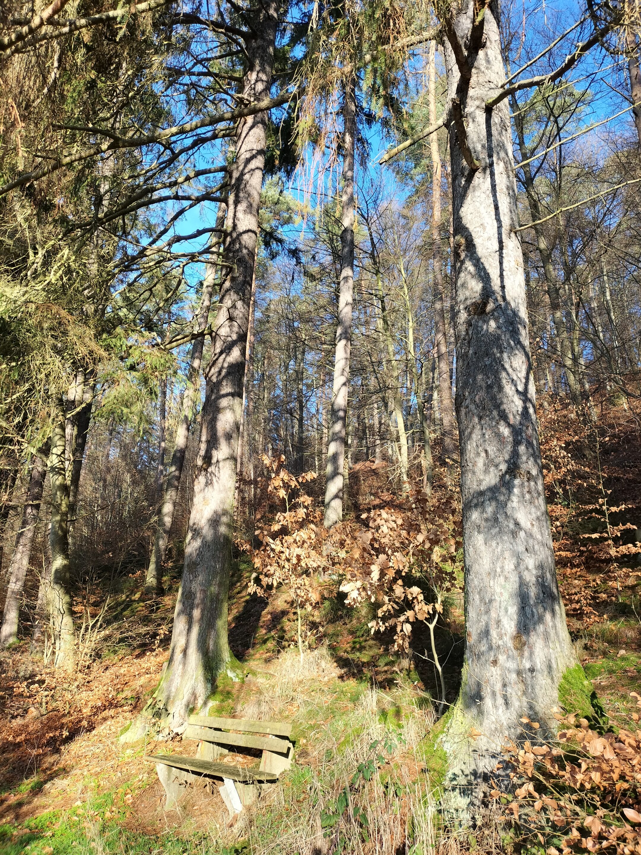 Karin Siebert - Naturblick