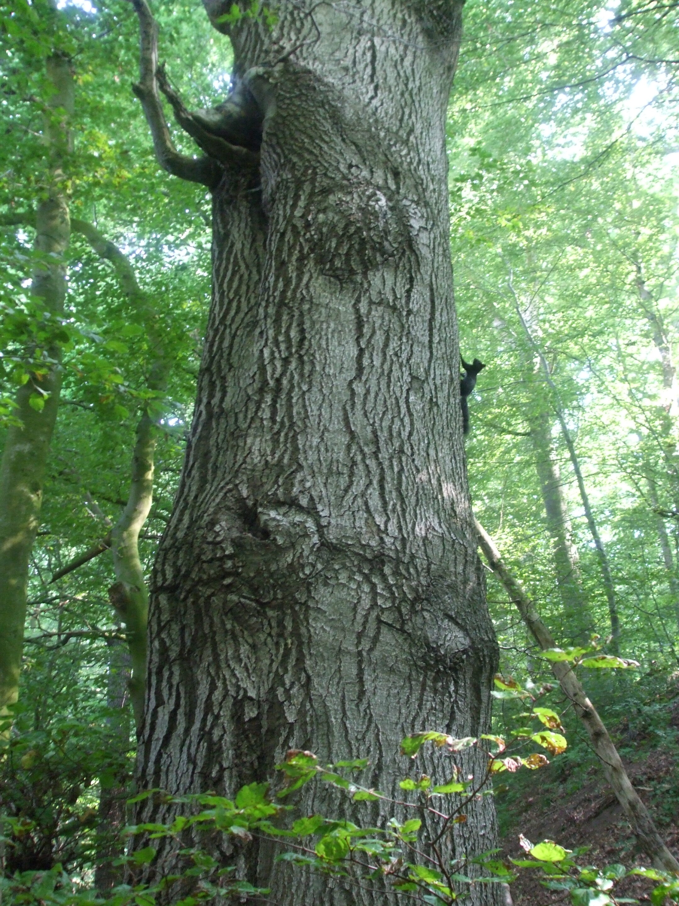 Yoga & Achtsamkeit