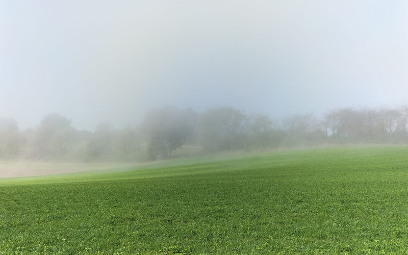 Karin Siebert - Naturblick