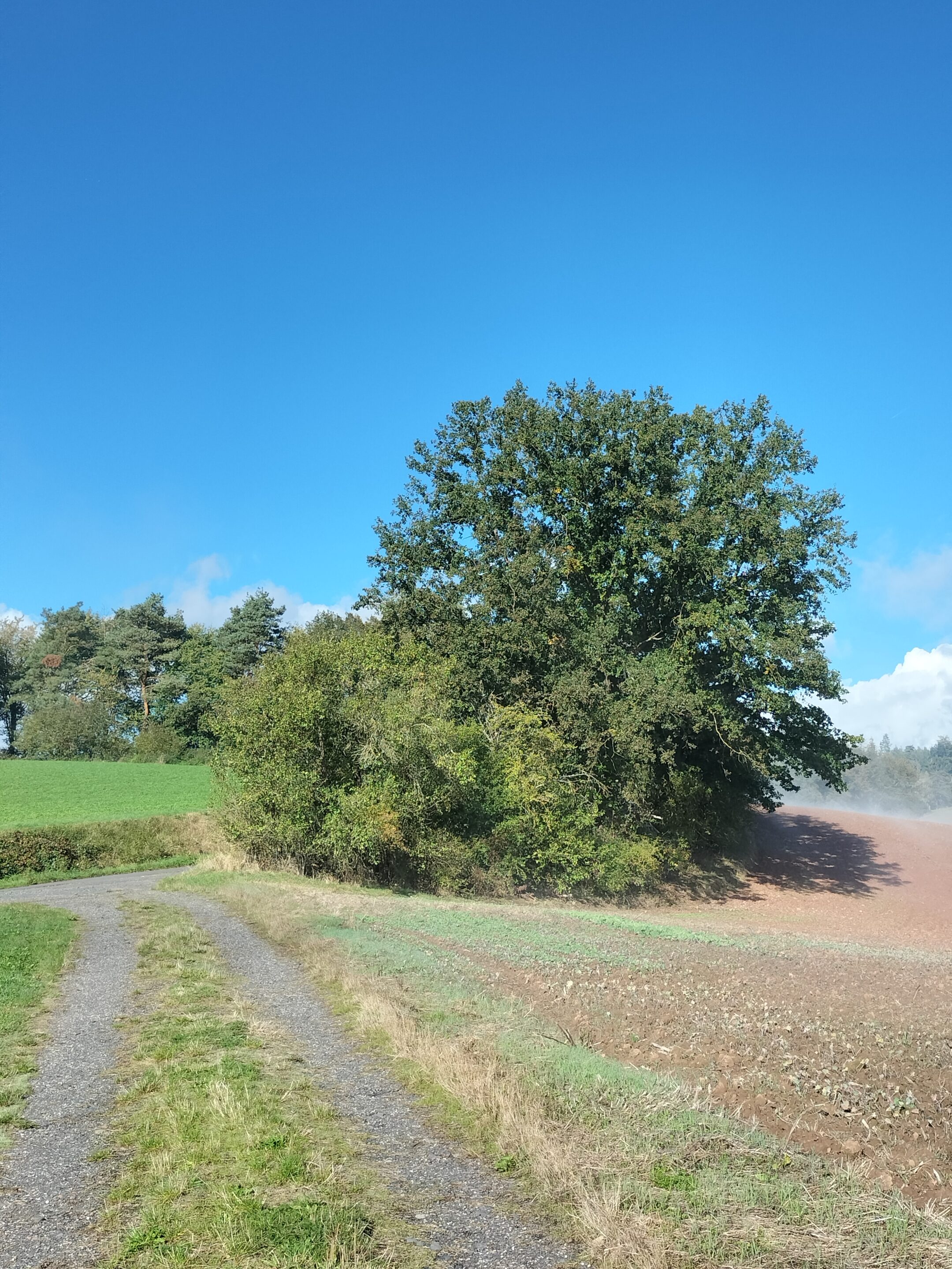 Karin Siebert - Naturblick